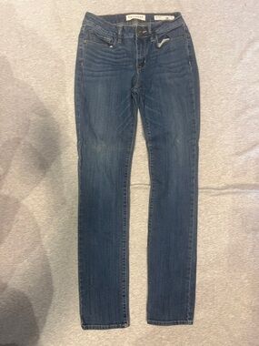 Bullhead Dark Blue Skinny Jeans